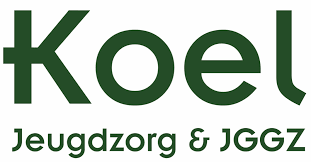 jeugdzorg organisaties