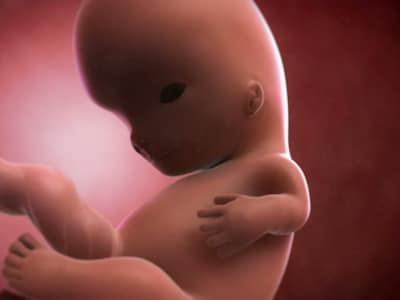 ontwikkeling baby 9 weken