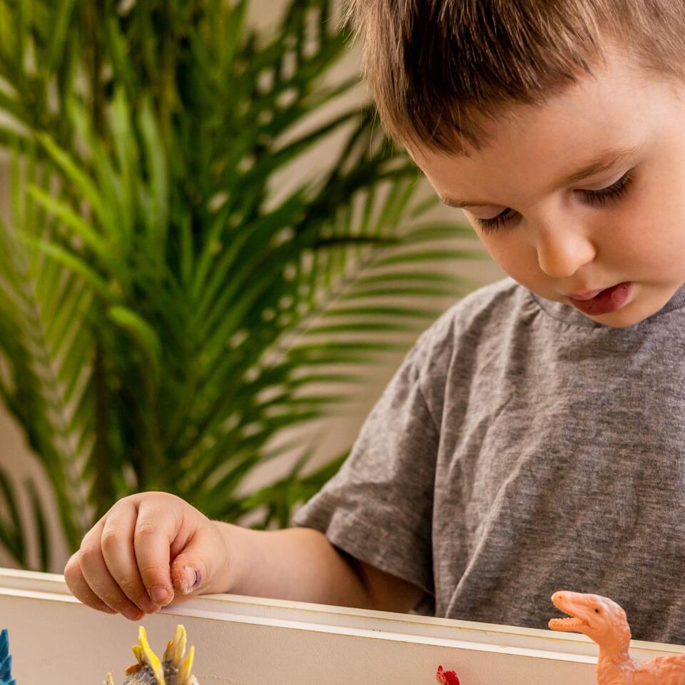 gezinsbegeleiding autisme