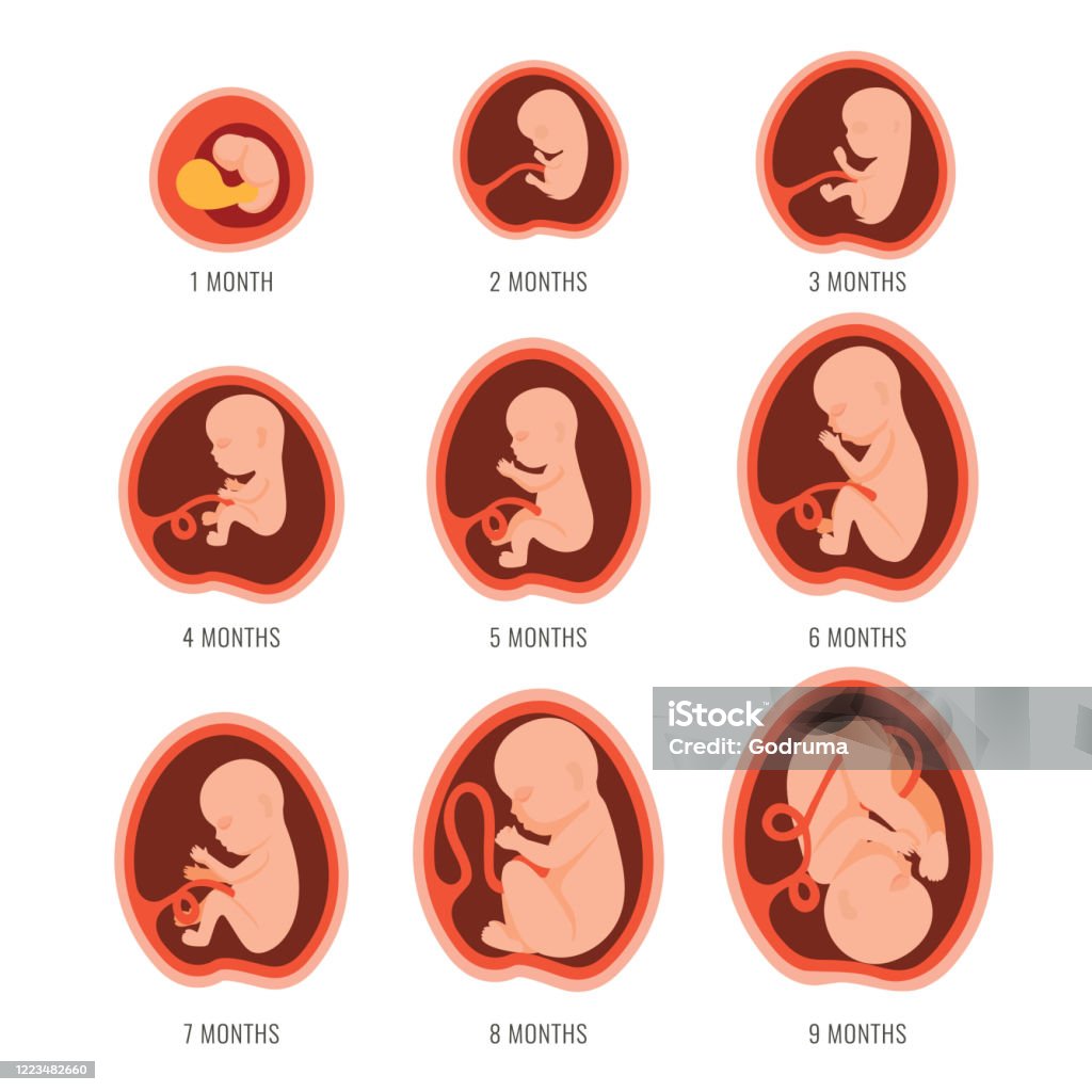 baby 4 maanden ontwikkeling