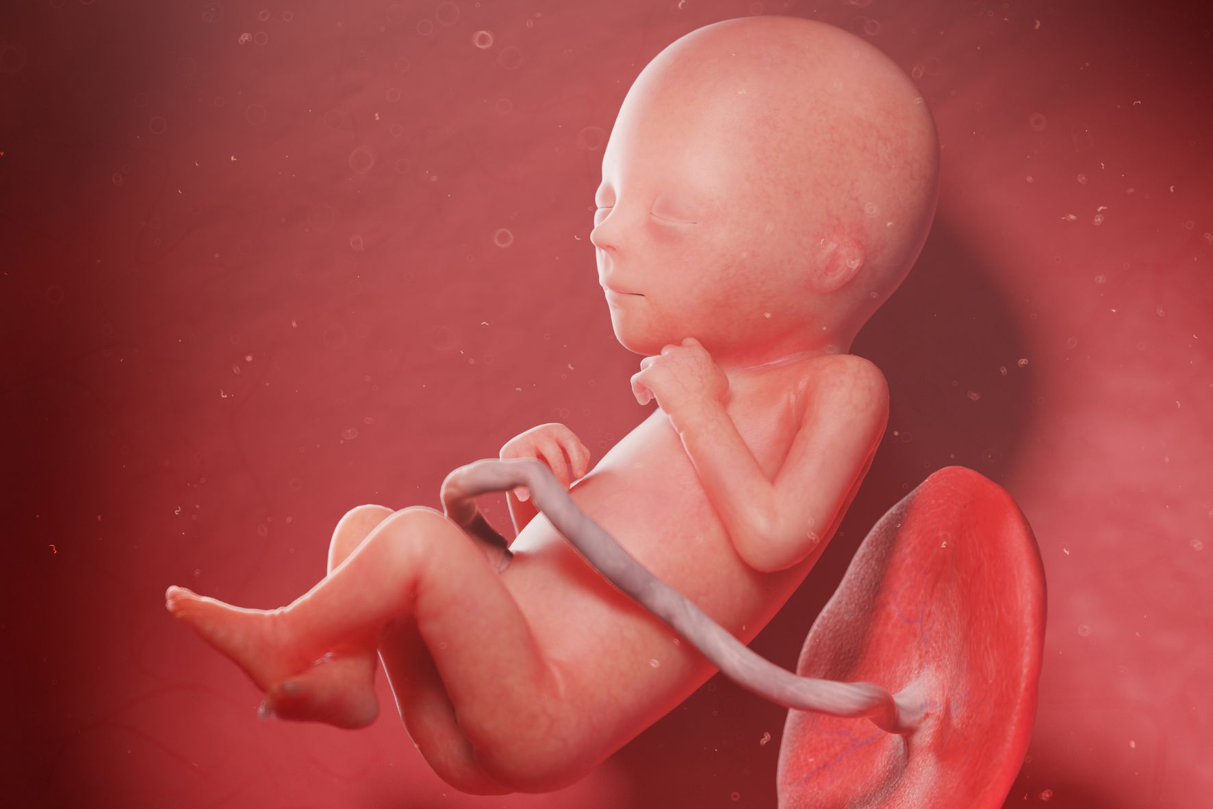 baby 18 weken ontwikkeling