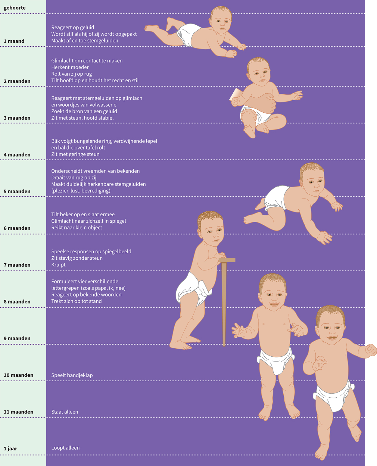baby ontwikkeling 6 maanden