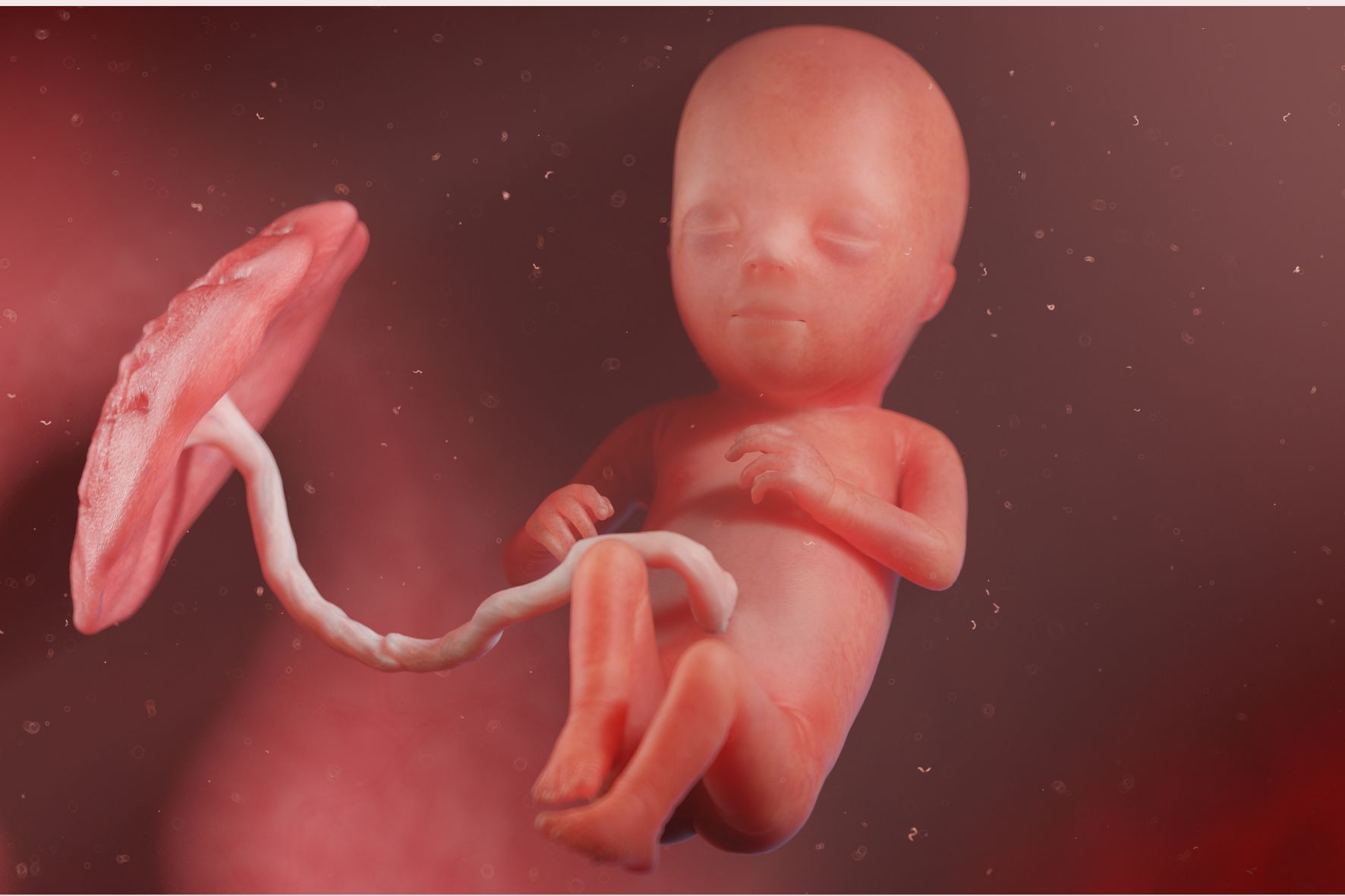 ontwikkeling baby 15 weken